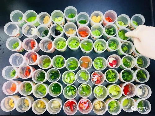 武漢節前農產品質量安全獲堅實保障，189批次抽檢結果全數合格